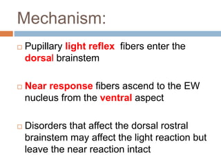 Mechanism:
 Pupillary light reflex fibers enter the
dorsal brainstem
 Near response fibers ascend to the EW
nucleus from the ventral aspect
 Disorders that affect the dorsal rostral
brainstem may affect the light reaction but
leave the near reaction intact
 