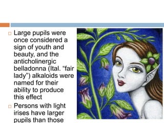  Large pupils were
once considered a
sign of youth and
beauty, and the
anticholinergic
belladonna (Ital. “fair
lady”) alkaloids were
named for their
ability to produce
this effect
 Persons with light
irises have larger
pupils than those
 