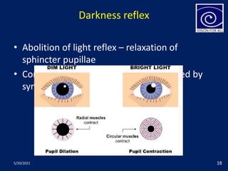 Darkness reflex
• Abolition of light reflex – relaxation of
sphincter pupillae
• Contraction of dilator pupillae – supplied by
sympathetic nervous system
5/20/2021 18
 
