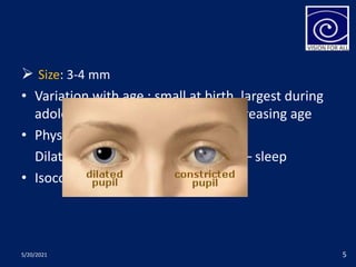 Size: 3-4 mm
• Variation with age : small at birth, largest during
adolescent, slowly smaller with increasing age
• Physiological changes :
Dilate –emotional stress, Constrict – sleep
• Isocoria : both of equal size
5/20/2021 5
 