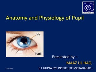 Anatomy and Physiology of Pupil
Presented by –
MAAZ UL HAQ
C.L GUPTA EYE INSTUTUTE MORADABAD
5/20/2021 1
 