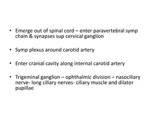 • Emerge out of spinal cord – enter paravertebral symp
chain & synapses sup cervical ganglion
• Symp plexus around carotid artery
• Enter cranial cavity along internal carotid artery
• Trigeminal ganglion – ophthalmic division – nasociliary
nerve- long ciliary nerves- ciliary muscle and dilator
pupillae
 