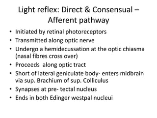 Light reflex: Direct & Consensual –
Afferent pathway
• Initiated by retinal photoreceptors
• Transmitted along optic nerve
• Undergo a hemidecussation at the optic chiasma
(nasal fibres cross over)
• Proceeds along optic tract
• Short of lateral geniculate body- enters midbrain
via sup. Brachium of sup. Colliculus
• Synapses at pre- tectal nucleus
• Ends in both Edinger westpal nucleui
 