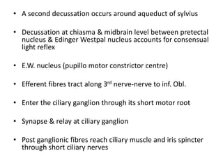 • A second decussation occurs around aqueduct of sylvius
• Decussation at chiasma & midbrain level between pretectal
nucleus & Edinger Westpal nucleus accounts for consensual
light reflex
• E.W. nucleus (pupillo motor constrictor centre)
• Efferent fibres tract along 3rd nerve-nerve to inf. Obl.
• Enter the ciliary ganglion through its short motor root
• Synapse & relay at ciliary ganglion
• Post ganglionic fibres reach ciliary muscle and iris spincter
through short ciliary nerves
 