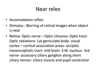 Near relex
• Accomodation reflex:
• Stimulus : Blurring of retinal images when object
is near
• Retina- Optic nerve – Optic chiasma- Optic tract-
Optic radiations- Lat geniculate body- visual
cortex – cortical association areas- occipito
mesencephalic tract- mid brain- E.W. nucleus- 3rd
nerve- accessory ciliary ganglion along short
ciliary nerves- ciliary muscle and pupil constrictor
 