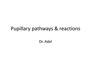 Pupillary pathways & reactions
Dr. Adel
 