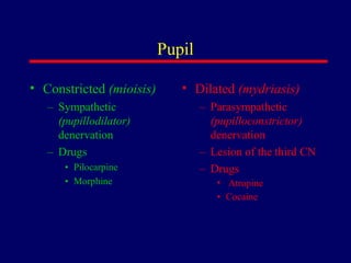 Pupil
• Constricted (mioisis)
– Sympathetic
(pupillodilator)
denervation
– Drugs
• Pilocarpine
• Morphine
• Dilated (mydriasis)
– Parasympathetic
(pupilloconstrictor)
denervation
– Lesion of the third CN
– Drugs
• Atropine
• Cocaine
 