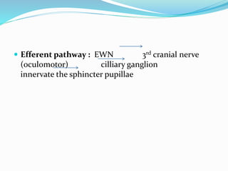  Efferent pathway : EWN 3rd cranial nerve
(oculomotor) cilliary ganglion
innervate the sphincter pupillae
 