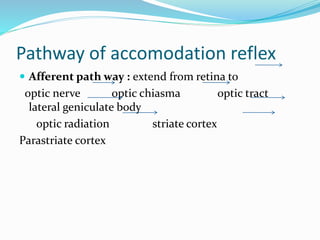 Pathway of accomodation reflex
 Afferent path way : extend from retina to
optic nerve optic chiasma optic tract
lateral geniculate body
optic radiation striate cortex
Parastriate cortex
 