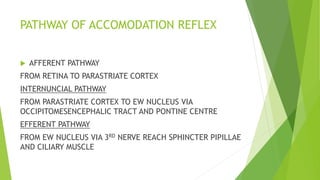PATHWAY OF ACCOMODATION REFLEX
 AFFERENT PATHWAY
FROM RETINA TO PARASTRIATE CORTEX
INTERNUNCIAL PATHWAY
FROM PARASTRIATE CORTEX TO EW NUCLEUS VIA
OCCIPITOMESENCEPHALIC TRACT AND PONTINE CENTRE
EFFERENT PATHWAY
FROM EW NUCLEUS VIA 3RD NERVE REACH SPHINCTER PIPILLAE
AND CILIARY MUSCLE
 