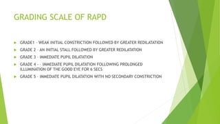 GRADING SCALE OF RAPD
 GRADE1 – WEAK INITIAL CONSTRICTION FOLLOWED BY GREATER REDILATATION
 GRADE 2 – AN INITIAL STALL FOLLOWED BY GREATER REDILATATION
 GRADE 3 – IMMEDIATE PUPIL DILATATION
 GRADE 4 - – IMMEDIATE PUPIL DILATATION FOLLOWING PROLONGED
ILLUMINATION OF THE GOOD EYE FOR 6 SECS
 GRADE 5 – IMMEDIATE PUPIL DILATATION WITH NO SECONDARY CONSTRICTION
 