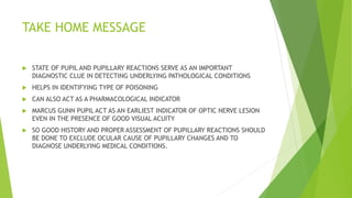 TAKE HOME MESSAGE
 STATE OF PUPIL AND PUPILLARY REACTIONS SERVE AS AN IMPORTANT
DIAGNOSTIC CLUE IN DETECTING UNDERLYING PATHOLOGICAL CONDITIONS
 HELPS IN IDENTIFYING TYPE OF POISONING
 CAN ALSO ACT AS A PHARMACOLOGICAL INDICATOR
 MARCUS GUNN PUPIL ACT AS AN EARLIEST INDICATOR OF OPTIC NERVE LESION
EVEN IN THE PRESENCE OF GOOD VISUAL ACUITY
 SO GOOD HISTORY AND PROPER ASSESSMENT OF PUPILLARY REACTIONS SHOULD
BE DONE TO EXCLUDE OCULAR CAUSE OF PUPILLARY CHANGES AND TO
DIAGNOSE UNDERLYING MEDICAL CONDITIONS.
 