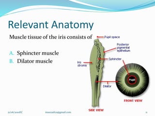 Relevant Anatomy
Muscle tissue of the iris consists of
A. Sphincter muscle
B. Dilator muscle
11
21/06/2010EC muezash21@gmail.com
 