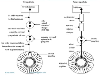 13
21/06/2010EC muezash21@gmail.com
 