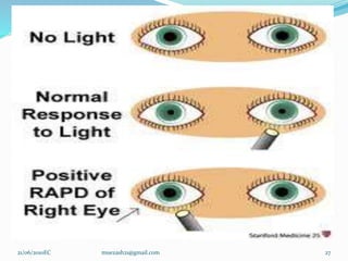 27
21/06/2010EC muezash21@gmail.com
 