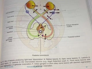 42
21/06/2010EC muezash21@gmail.com
 