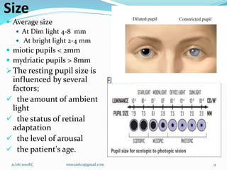 Size
 Average size
 At Dim light 4-8 mm
 At bright light 2-4 mm
 miotic pupils < 2mm
 mydriatic pupils > 8mm
The resting pupil size is
influenced by several
factors;
 the amount of ambient
light
 the status of retinal
adaptation
 the level of arousal
 the patient's age.
9
21/06/2010EC muezash21@gmail.com
 