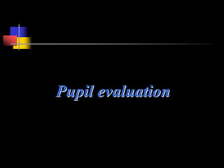 Pupil evaluation
 