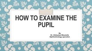 HOW TO EXAMINE THE
PUPIL
By
Dr. Alshymaa Moustafa
Ophthalmology specialist
 