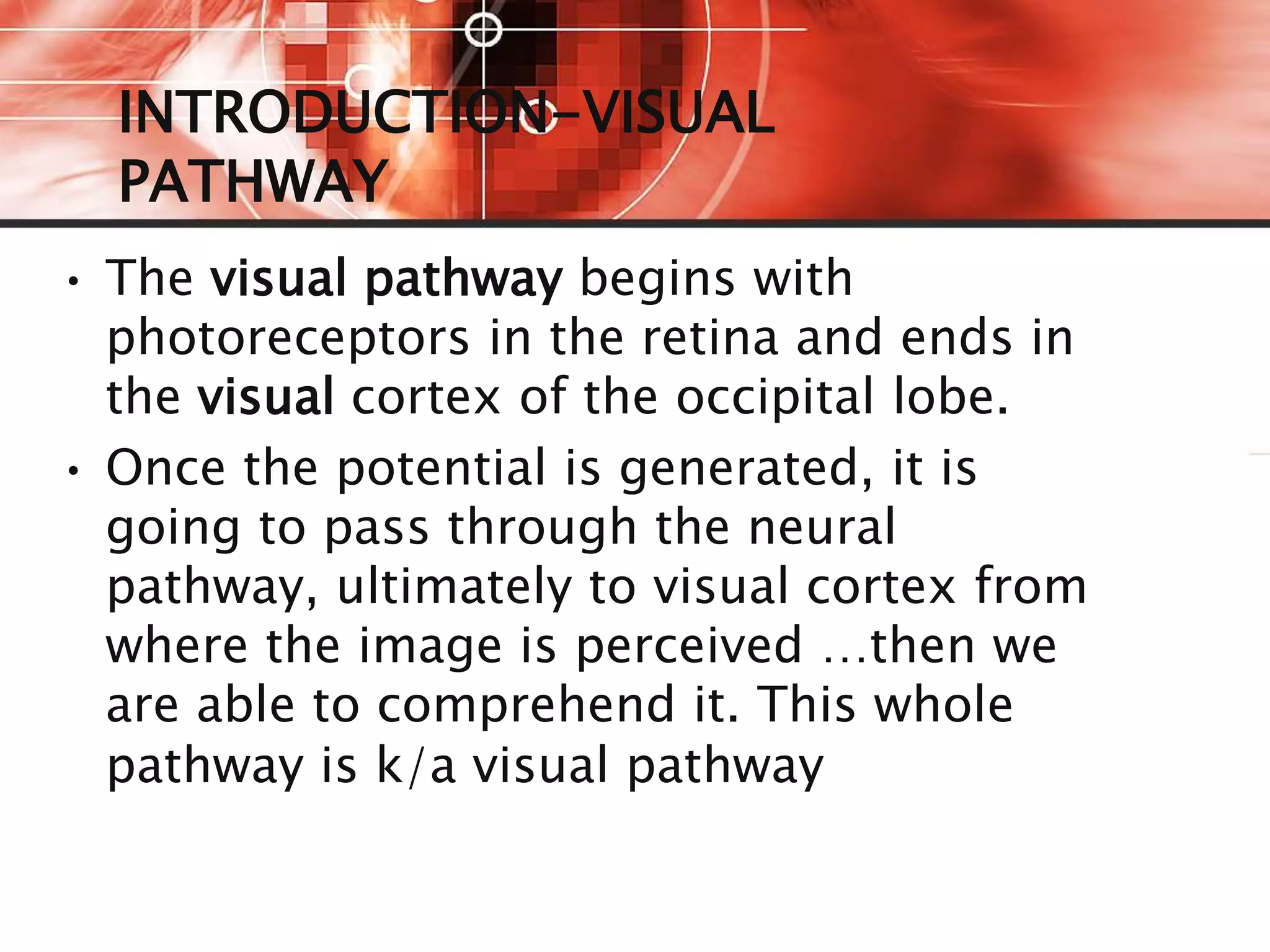 Visual Pathways Lecture Pupillary and visual pathway | PPTX