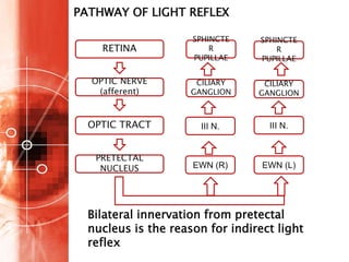 Pupillary and visual pathway | PPTX