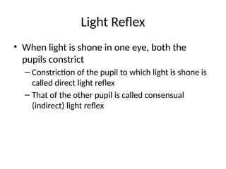 Light Reflex Example PUPILLARY EXAMINATION.pptx pupillary exam | PPTX
