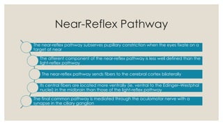 Near Response Components Comprehensive Guide to Pupillary Examination and Neurological Insights ...