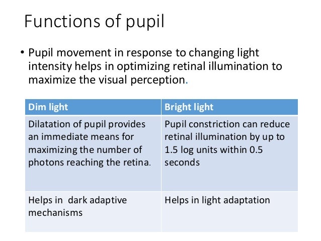 pupil function