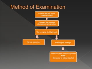 Confirm that the pupils
respond to light
Compare the pupillary
diameters to one another.
The swinging flashlight test.
Normal responses Pathological findings
Anisocoria with normal responses
RAPD
Monocular or bilateral deficit
 