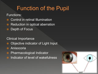 Functions:
 Control in retinal Illumination
 Reduction in optical aberration
 Depth of Focus
Clinical Importance
 Objective indicator of Light Input
 Anisocoria
 Pharmacological Indicator
 Indicator of level of wakefulness
 