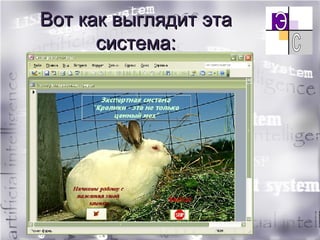 Вот как выглядит эта система: 