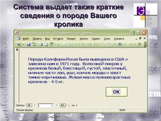 Система выдает также краткие сведения о породе Вашего кролика 
