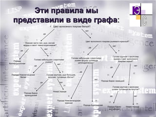 Эти правила мы представили в виде графа : 