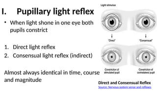 Pupil, Pupillary Reaction And it’s Abnormalities, | PPTX