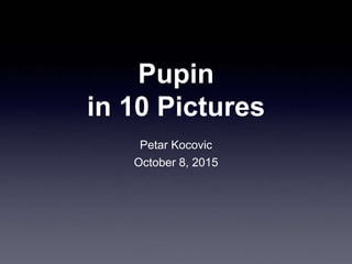 Petar Kocovic
October 8, 2015
Pupin
in 10 Pictures
 