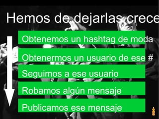 Hemos de dejarlas crece
Obtenemos un hashtag de moda
Obtenermos un usuario de ese #
Seguimos a ese usuario
Robamos algún mensaje
Publicamos ese mensaje
 