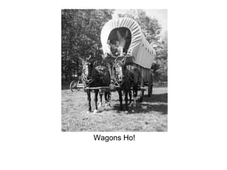 Wagons Ho!
 