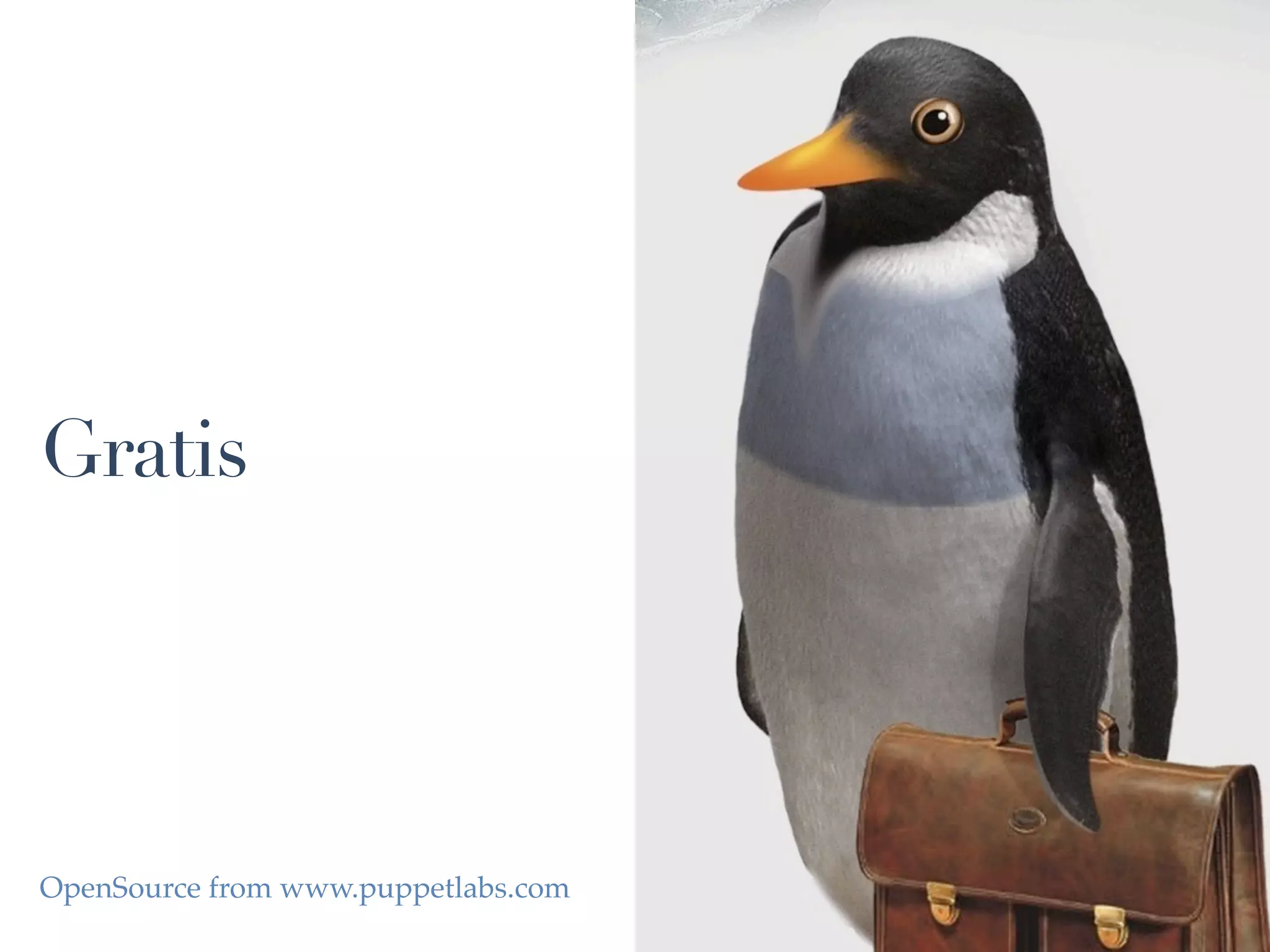 Gratis




OpenSource from www.puppetlabs.com
 