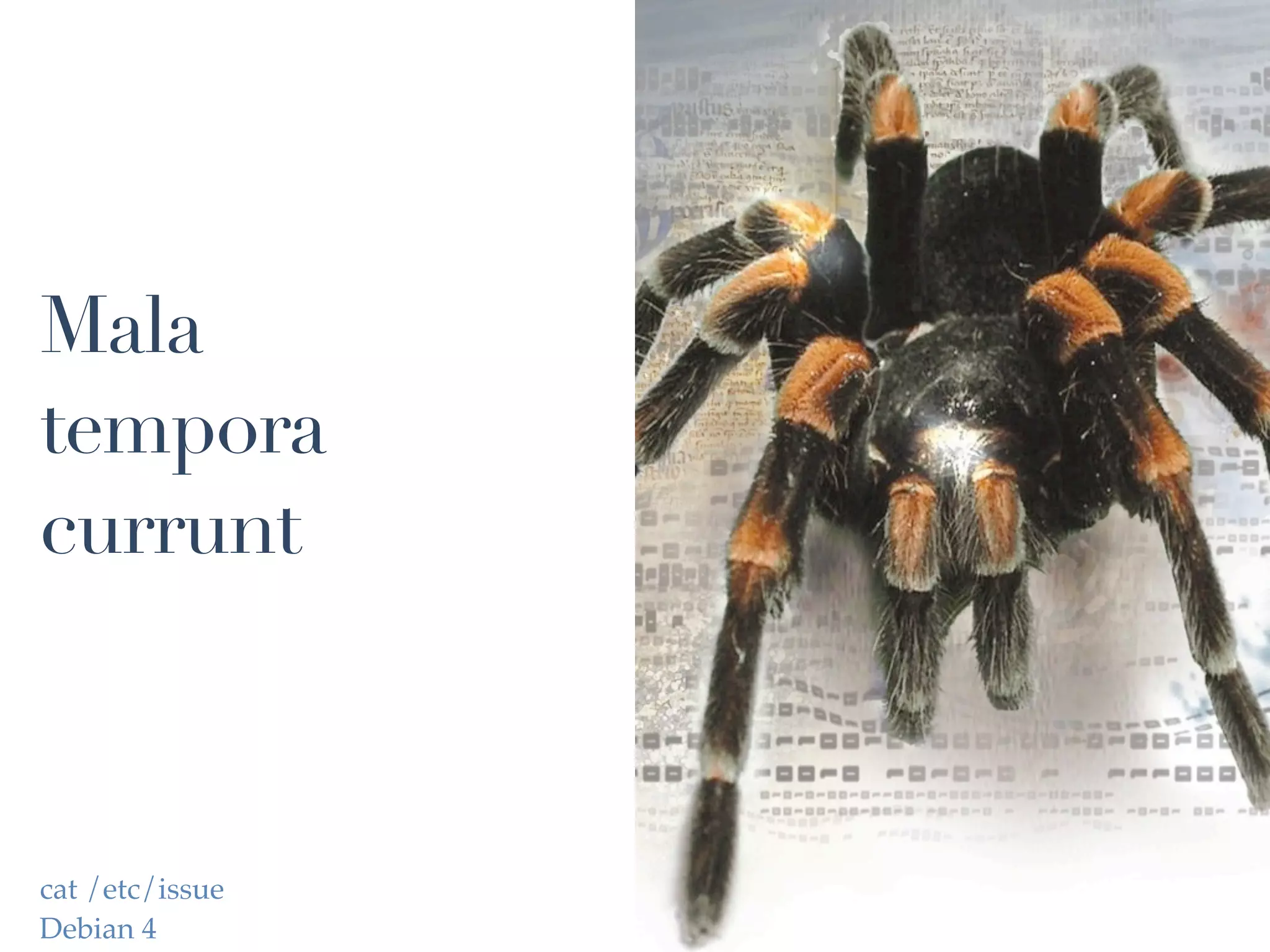 Mala
tempora
currunt



cat /etc/issue
Debian 4
 