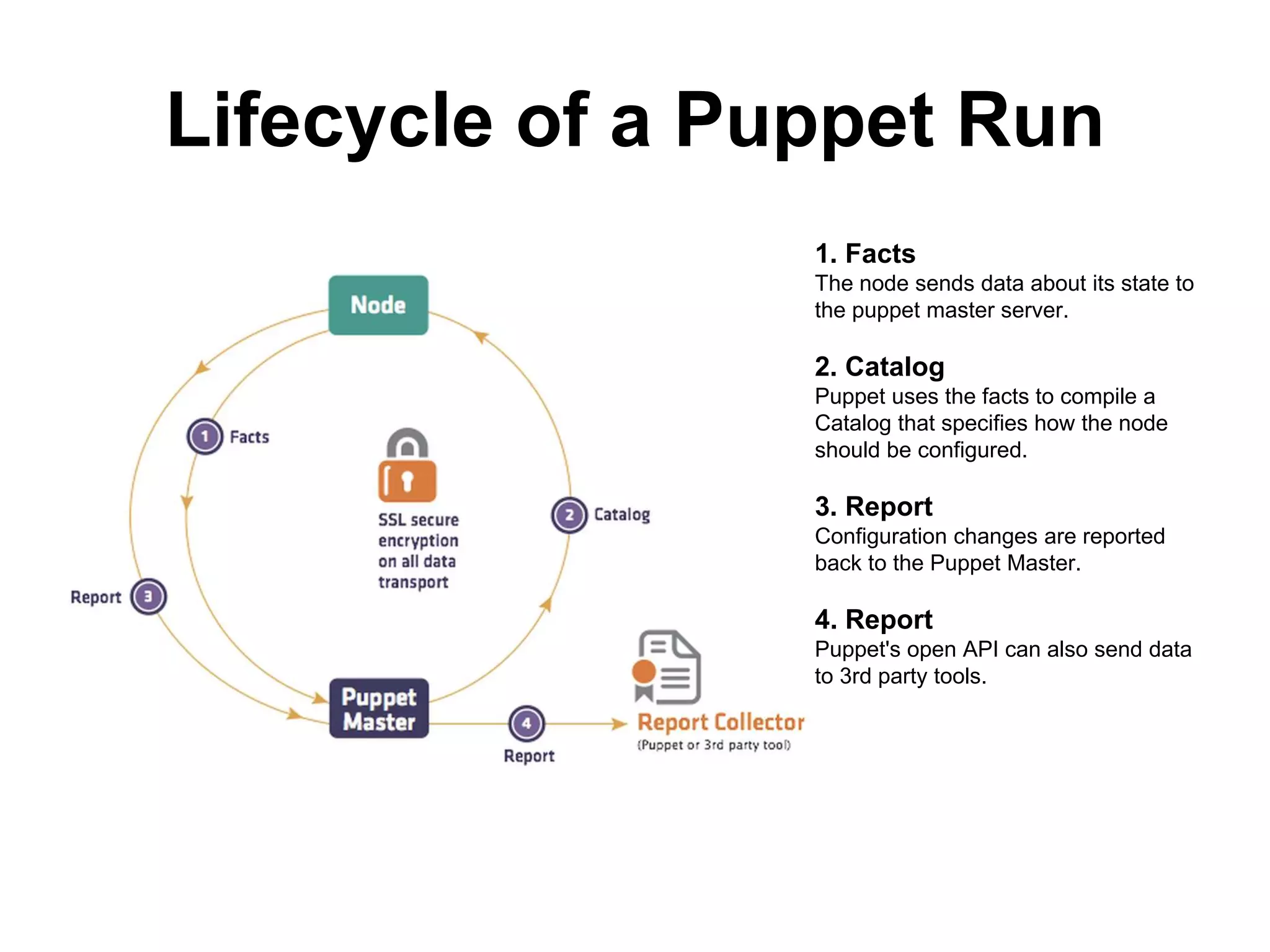 Lifecycle of a Puppet Run
1. Facts
The node sends data about its state to
the puppet master server.
2. Catalog
Puppet uses the facts to compile a
Catalog that specifies how the node
should be configured.
3. Report
Configuration changes are reported
back to the Puppet Master.
4. Report
Puppet's open API can also send data
to 3rd party tools.
 