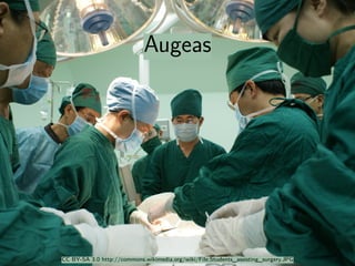 . 
. 
Augeas 
CC BY-SA 3.0 http://commons.wikimedia.org/wiki/File:Students_assisting_surgery.JPG 
 