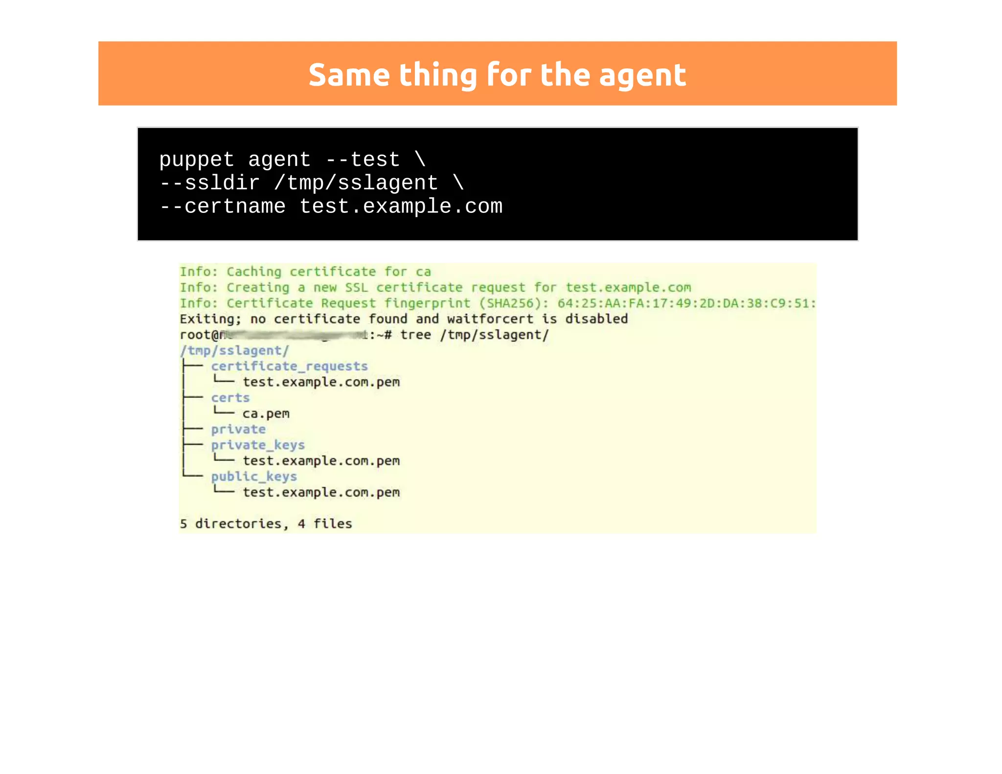 Same thing for the agent 
puppet agent --test  
--ssldir /tmp/sslagent  
--certname test.example.com 
 