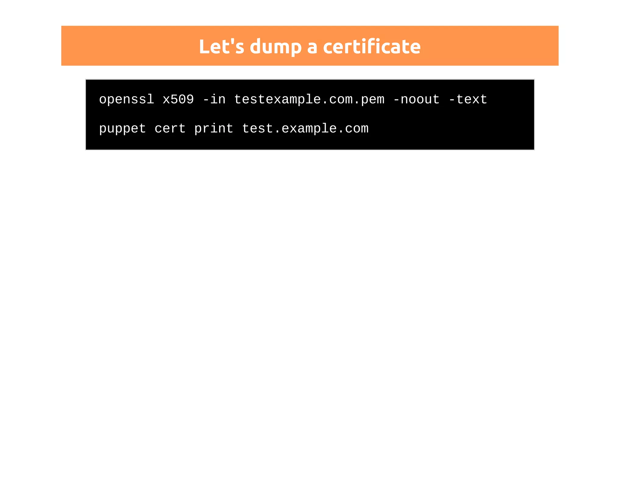 Let's dump a certificate 
openssl x509 -in testexample.com.pem -noout -text 
puppet cert print test.example.com 
 