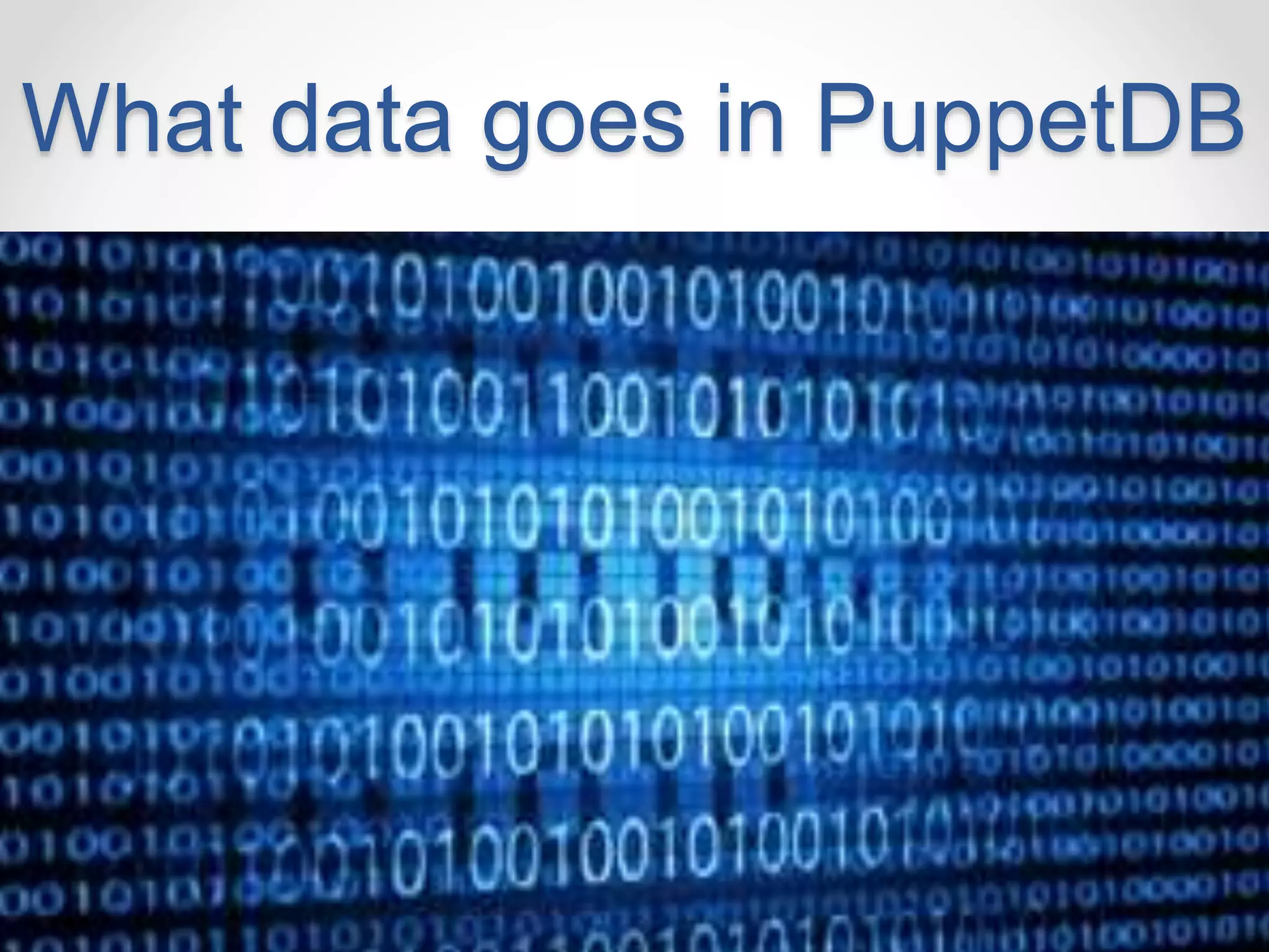 What data goes in PuppetDB 
 