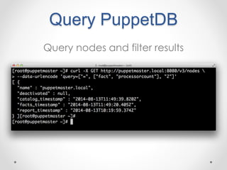 Query PuppetDB 
Query nodes and filter results 
 