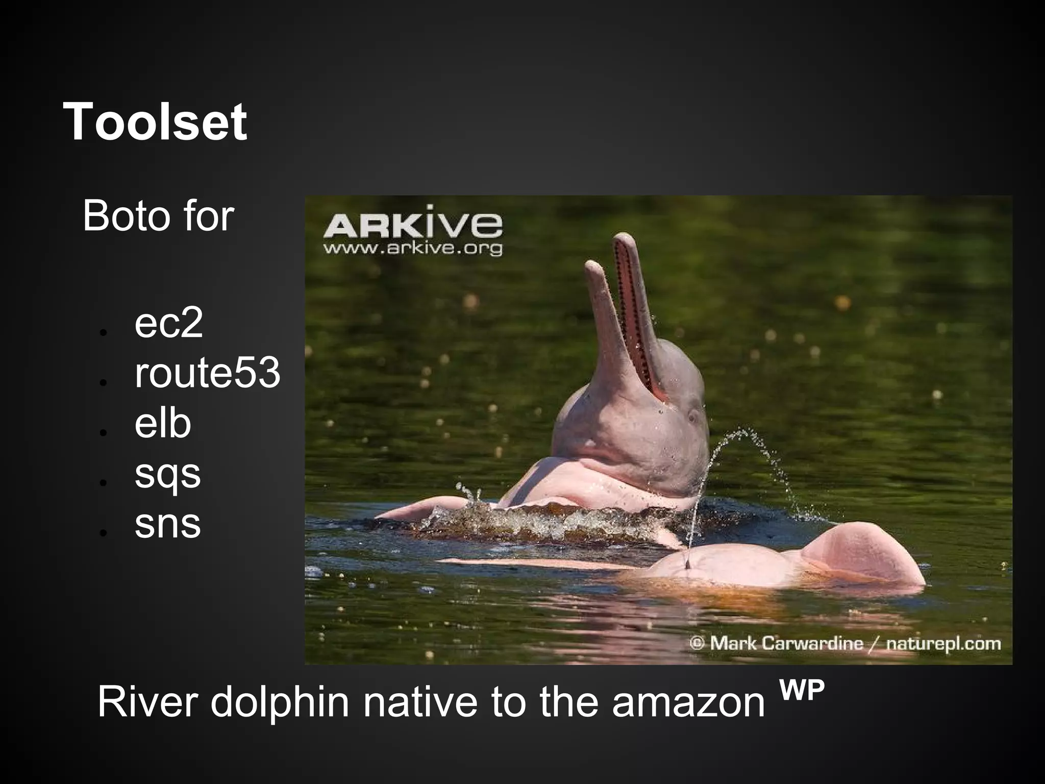 Toolset
Boto for

 ●   ec2
 ●   route53
 ●   elb
 ●   sqs
 ●   sns



 River dolphin native to the amazon WP
 