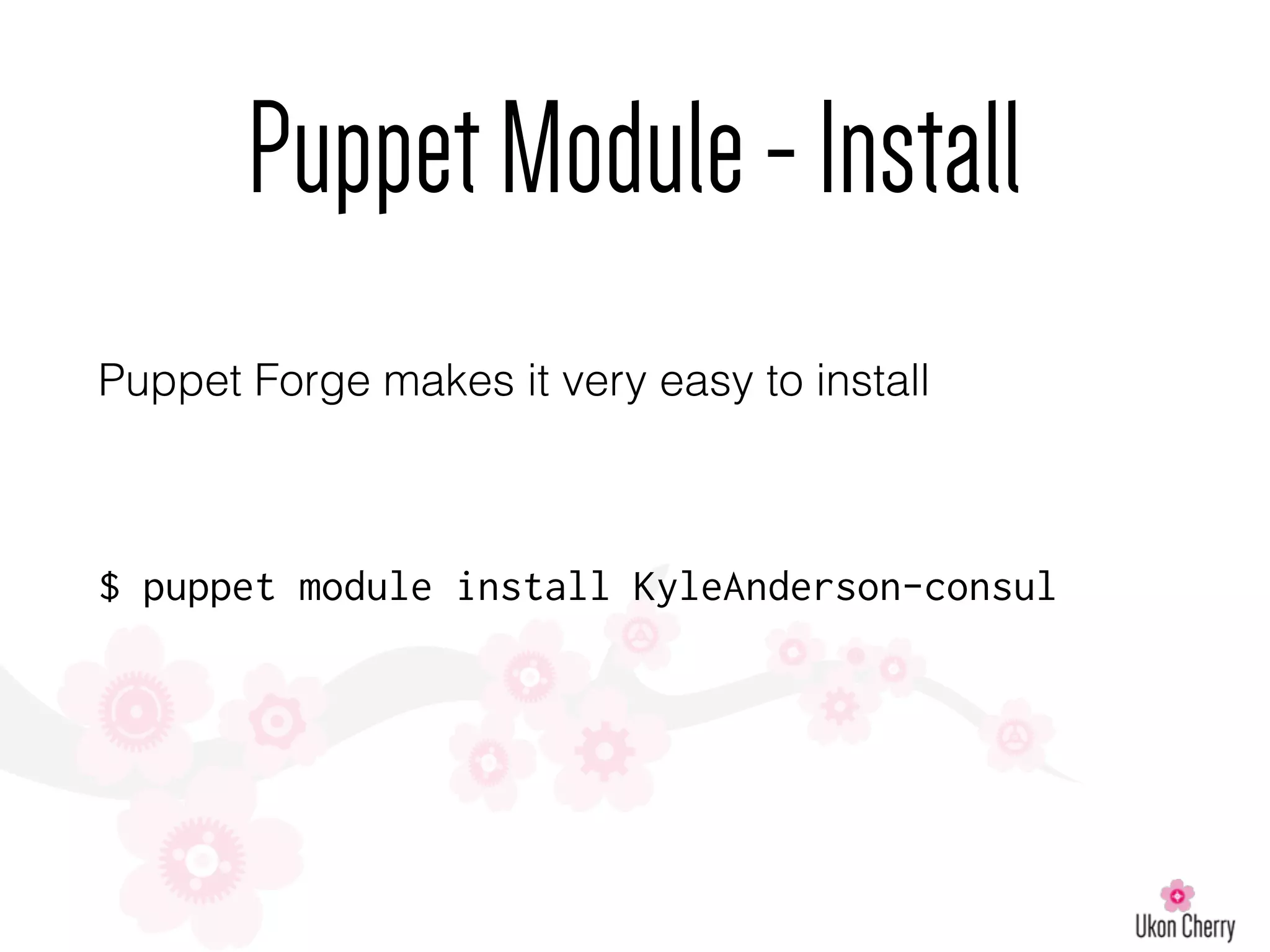 PuppetModule-Install
Puppet Forge makes it very easy to install
$ puppet module install KyleAnderson-consul
 