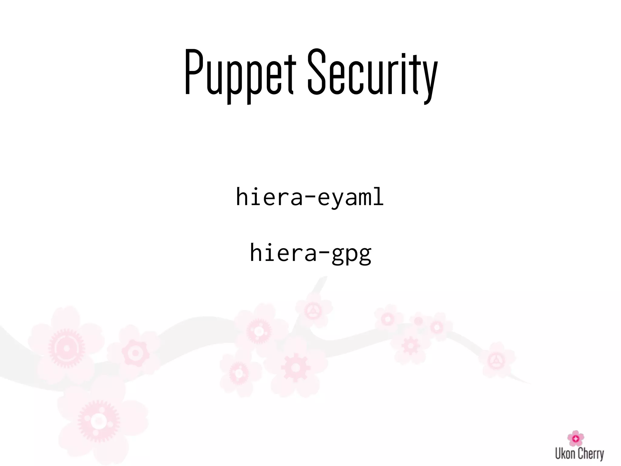 PuppetSecurity
hiera-eyaml
hiera-gpg
 