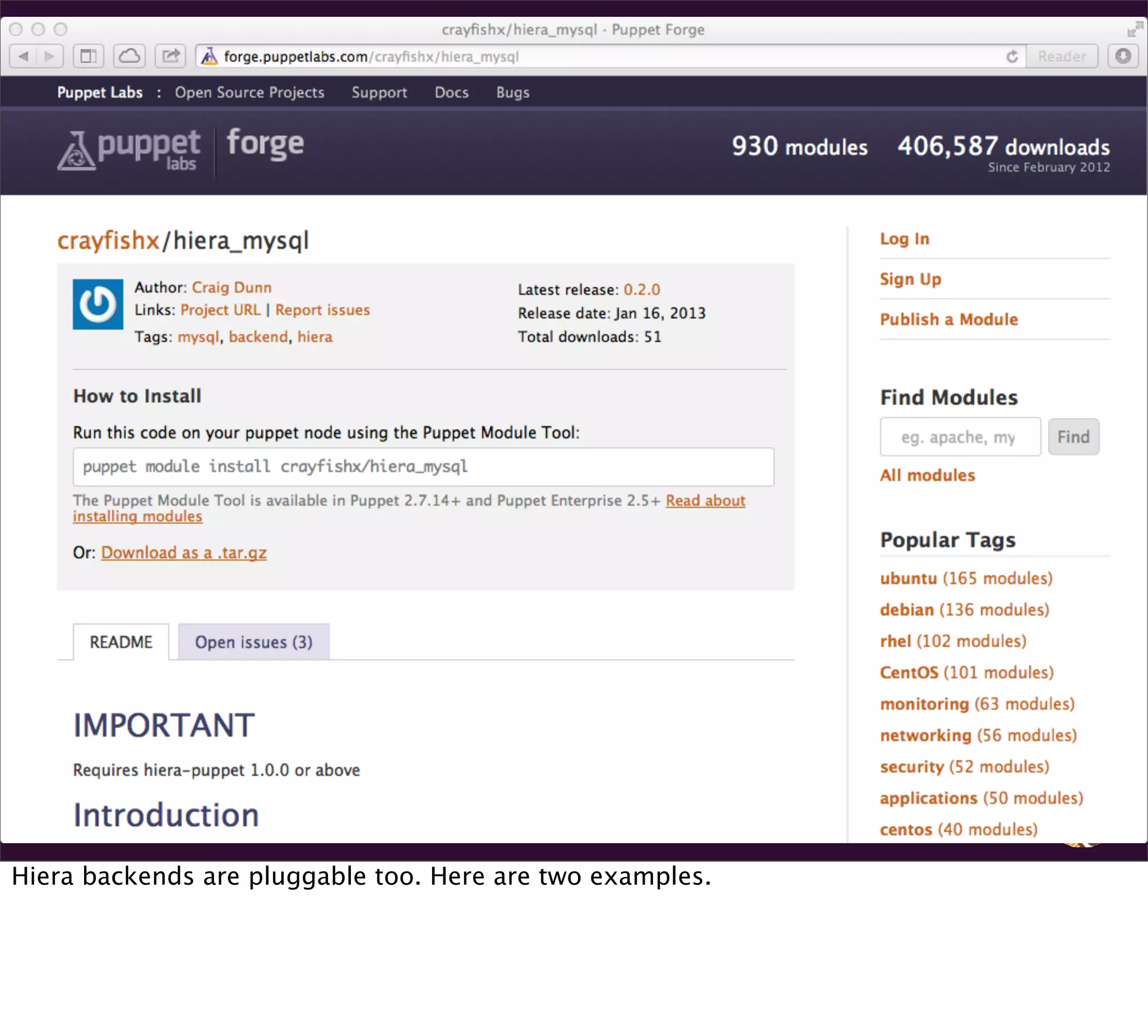 Hiera backends are pluggable too. Here are two examples.
 