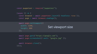 Set viewport size